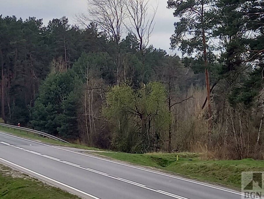 Zielona Góra, Działka na sprzedaż